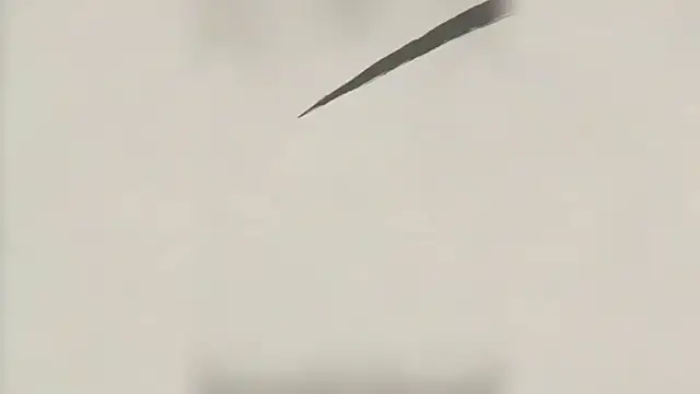 MSLOVE-001 online show from 2, 3, 2026