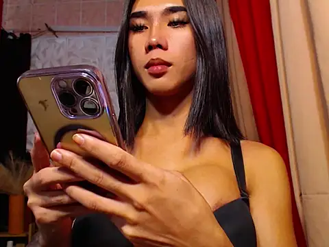 TRANSPORNIDOL online show from 25, 11, 2025