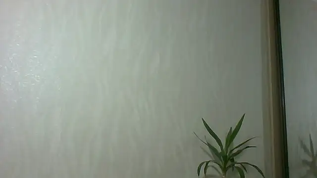 Marellaa online show from 4, 12, 2025