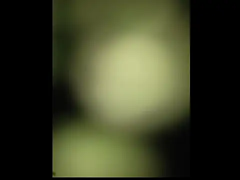 Snapshot of sobit1234 chatting on 18, 10, 2025 sobit1234 online show from 18, 10, 2025