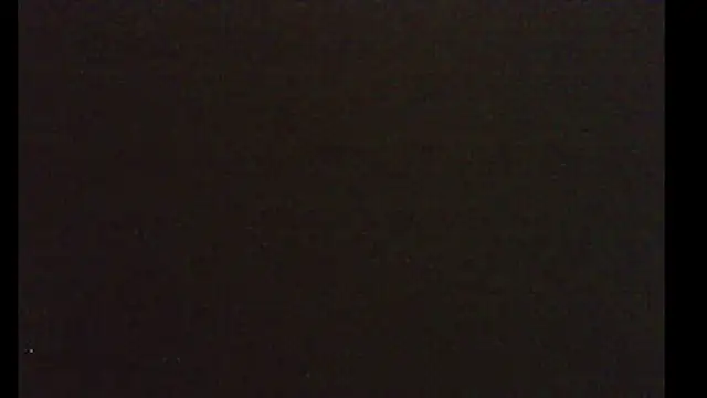 pietje1991 online show from 10, 1, 2026