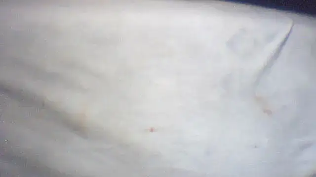 Snapshot of pietje1991 chatting on 25, 2, 2026 pietje1991 online show from 25, 2, 2026