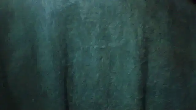 Snapshot of pietje1991 chatting on 28, 2, 2026 pietje1991 online show from 28, 2, 2026