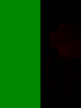 Snapshot of Devi-with-Ram chatting on 20, 9, 2025 Devi-with-Ram online show from 20, 9, 2025