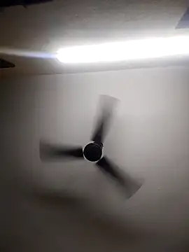 Snapshot of Devi-with-Ram chatting on 13, 10, 2025 Devi-with-Ram online show from 13, 10, 2025