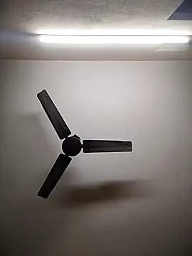 Snapshot of Devi-with-Ram chatting on 3, 12, 2025 Devi-with-Ram online show from 3, 12, 2025