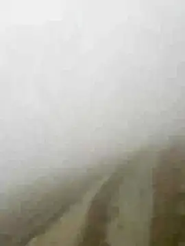 Phayphay77 online show from 15, 1, 2026