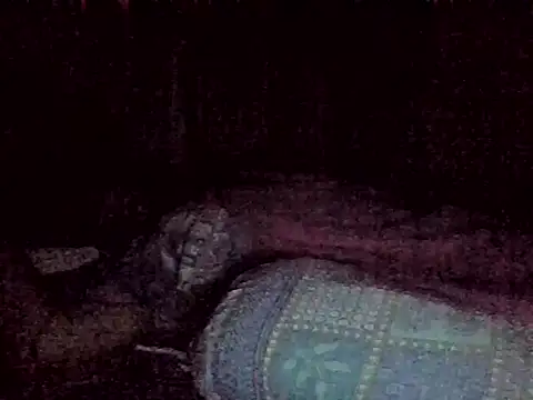 Snapshot of harish_x chatting on 18, 2, 2026 harish x online show from 18, 2, 2026