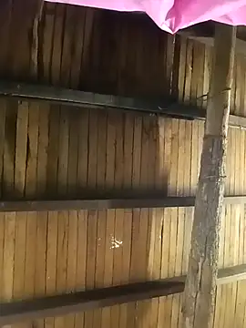 teluguvarsha online show from 9, 4, 2026