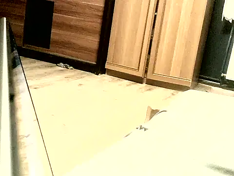 KissMeAss9387 online show from 28, 9, 2025