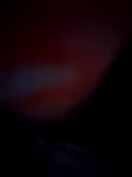 Exotic-bhabhi online show from 10, 10, 2025