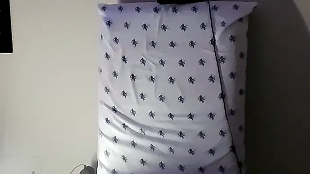 Triggerhappycj100 online show from 2, 11, 2025