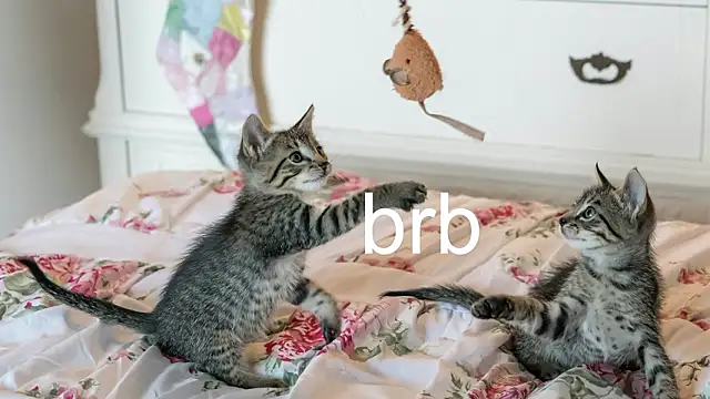 Pink girl0n online show from 25, 3, 2026