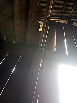 Snapshot of Mamapm20 chatting on 19, 9, 2025 Mamapm20 online show from 19, 9, 2025