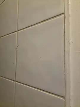 raen001 online show from 6, 11, 2025