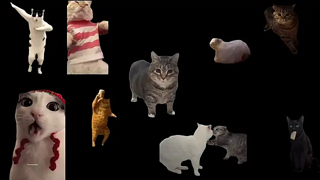 ch0wn m online show from 20, 9, 2025