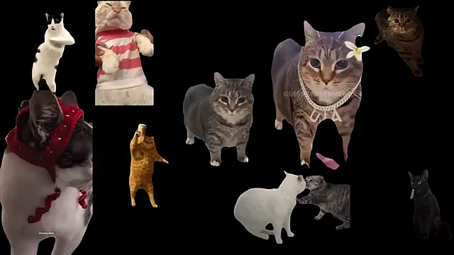 ch0wn m online show from 3, 10, 2025