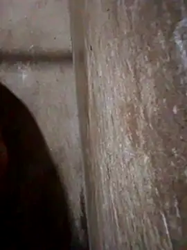 Lujor online show from 13, 3, 2026