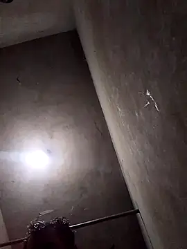 Lujor online show from 8, 4, 2026