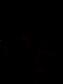 Lujor online show from 17, 4, 2026