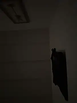 tyrek5051 online show from 12, 11, 2025