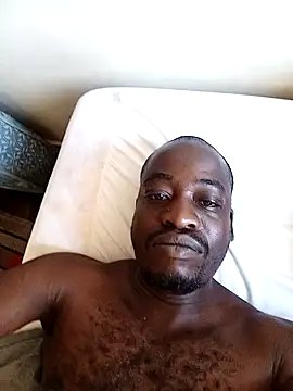 WaiterZim online show from 2, 2, 2026