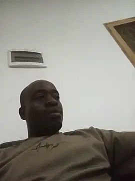 WaiterZim online show from 19, 5, 2026
