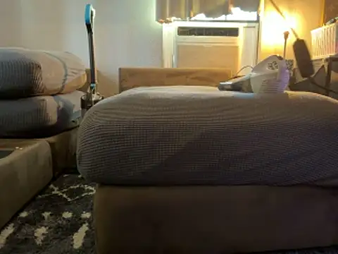 bearcub300 online show from 1, 2, 2026