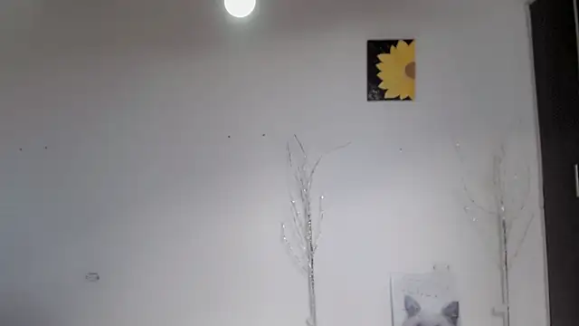 Stein  online show from 15, 9, 2025