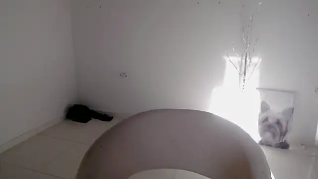 Stein  online show from 24, 9, 2025