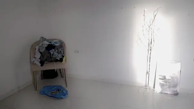 Stein  online show from 25, 9, 2025