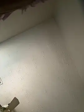 Snapshot of honestlychina chatting on 3, 10, 2025 honestlychina online show from 3, 10, 2025