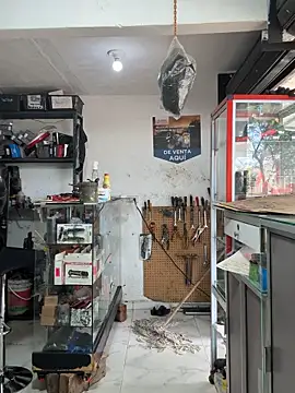 Terra-22cm online show from 25, 10, 2025