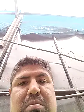 Pamaferto online show from 31, 3, 2026