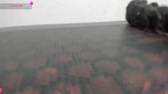 FluffyMelons online show from 1, 4, 2026