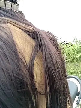 Snapshot of asian_2k chatting on 23, 11, 2025 asian 2k online show from 23, 11, 2025