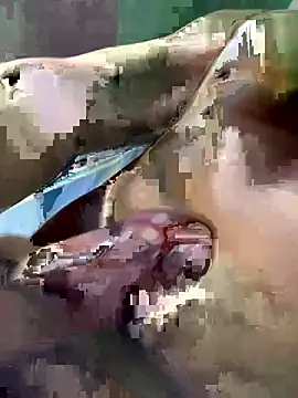 Huynh-duc-huy online show from 5, 2, 2026