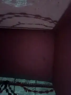 Cut rajbati online show from 17, 11, 2025