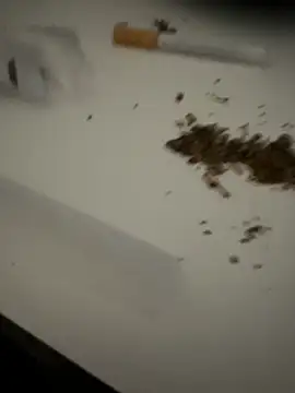 evawx9 online show from 19, 3, 2026