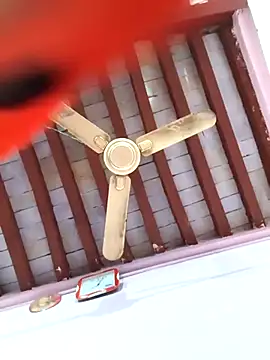 Love-pari077 online show from 5, 2, 2026