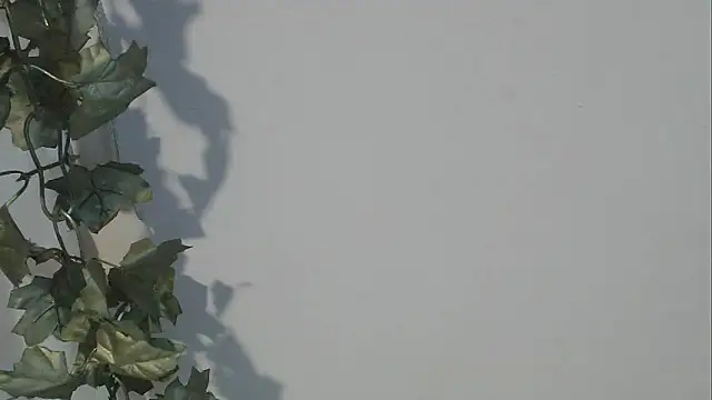 angelainparis28 online show from 5, 10, 2025