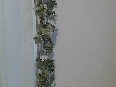 angelainparis28 online show from 27, 11, 2025