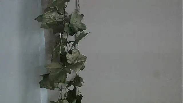 angelainparis28 online show from 2, 12, 2025