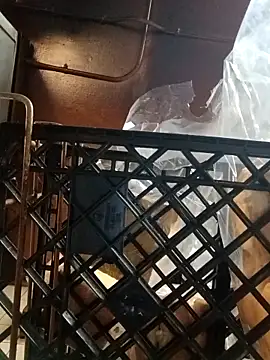 sarahkat86 online show from 6, 11, 2025