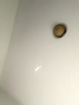 Snapshot of lilcubangoddess chatting on 28, 10, 2025 lilcubangoddess online show from 28, 10, 2025