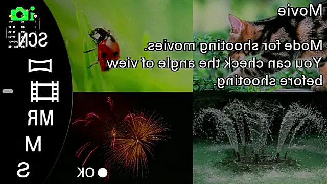 Snapshot of AlbertaClack chatting on 28, 2, 2026 AlbertaClack online show from 28, 2, 2026