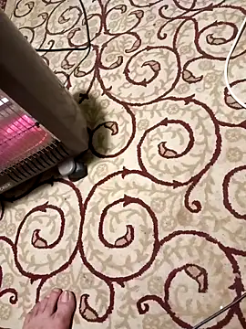 bullut06 online show from 8, 4, 2026