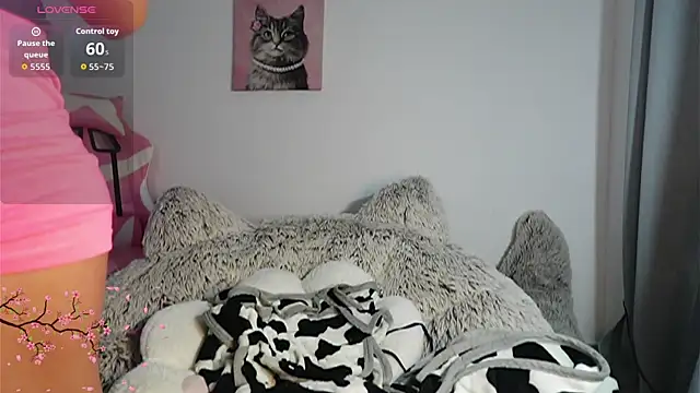 akame meow online show from 19, 2, 2026