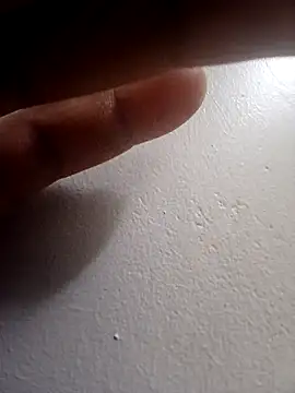 Xyz1232 online show from 8, 9, 2025