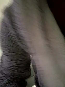 Snapshot of cameron334 chatting on 1, 11, 2025 cameron334 online show from 1, 11, 2025